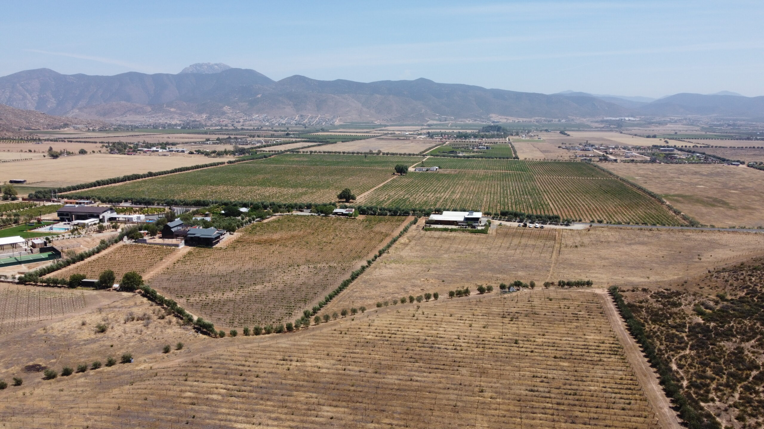 Valle de Guadalupe